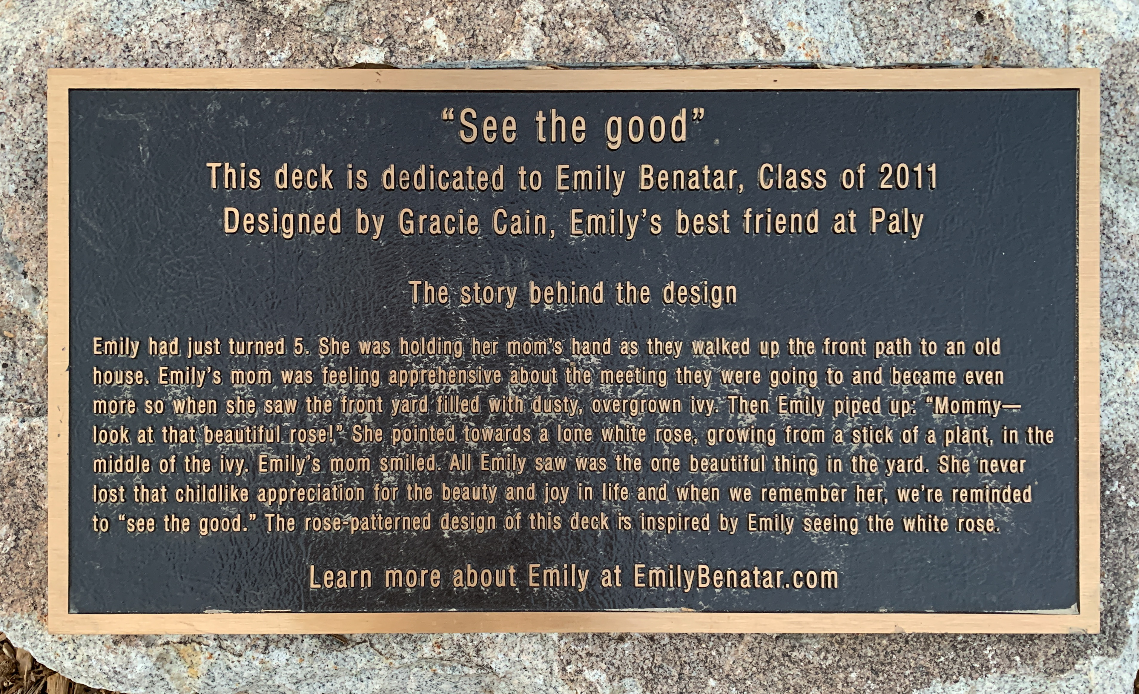 See the Good—Emily Benatar