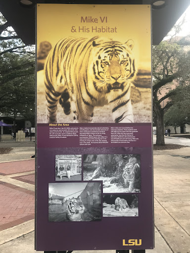 Mike VI and his habitat