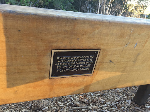 Rainbow Bridge Bench