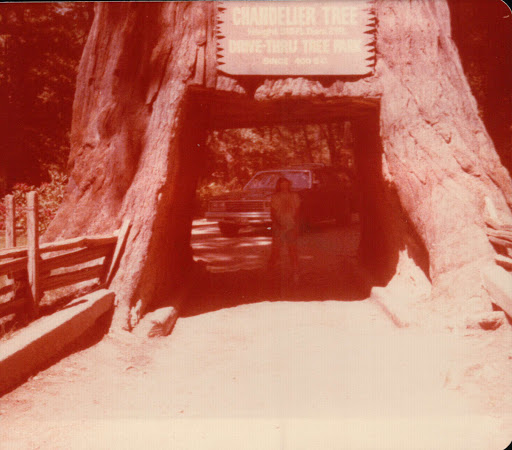 Chandelier Tree