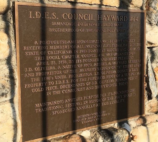 I.D.E.S. Council Hayward #14