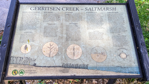 Gerritsen Creek - Saltmarsh