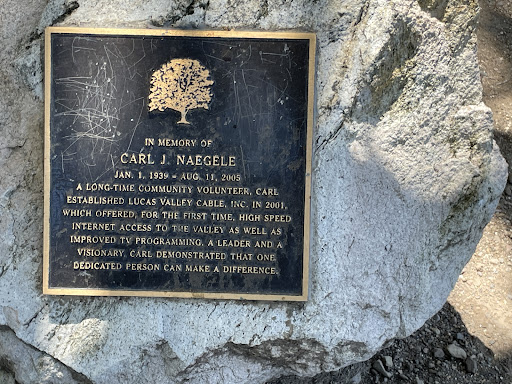 Carl J. Naegele