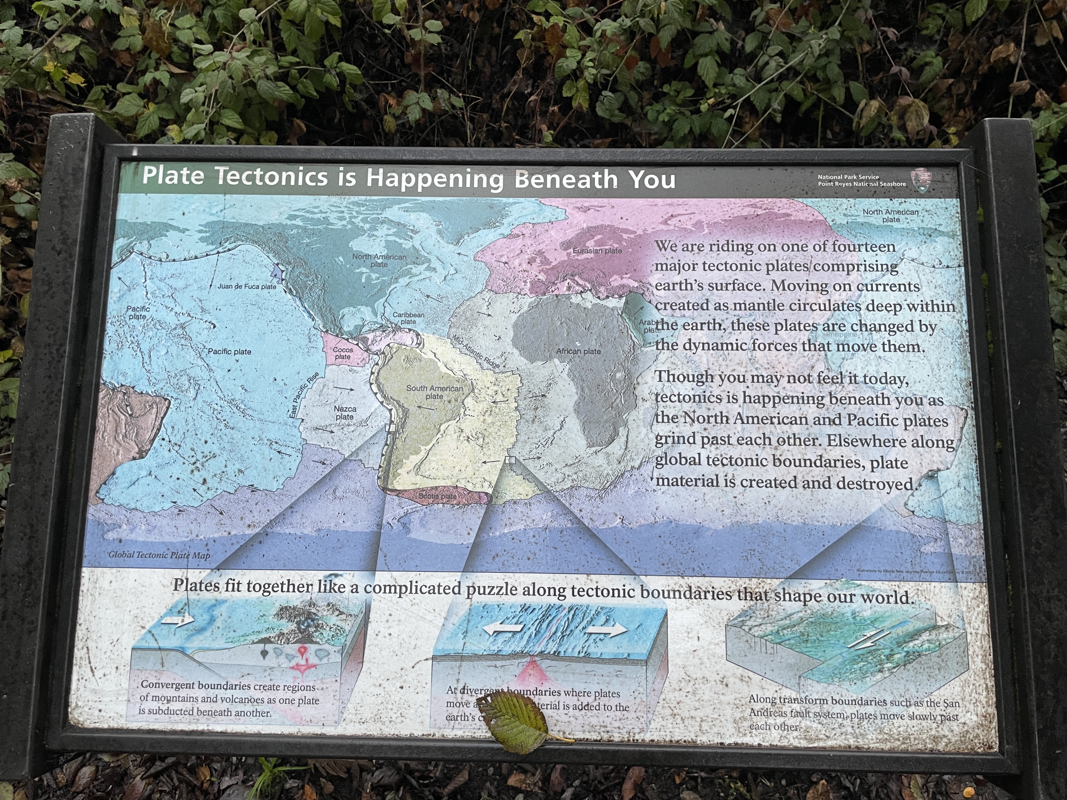Plate Tectonics is Happening Beneath You