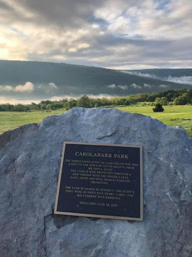 Carolabarb Park