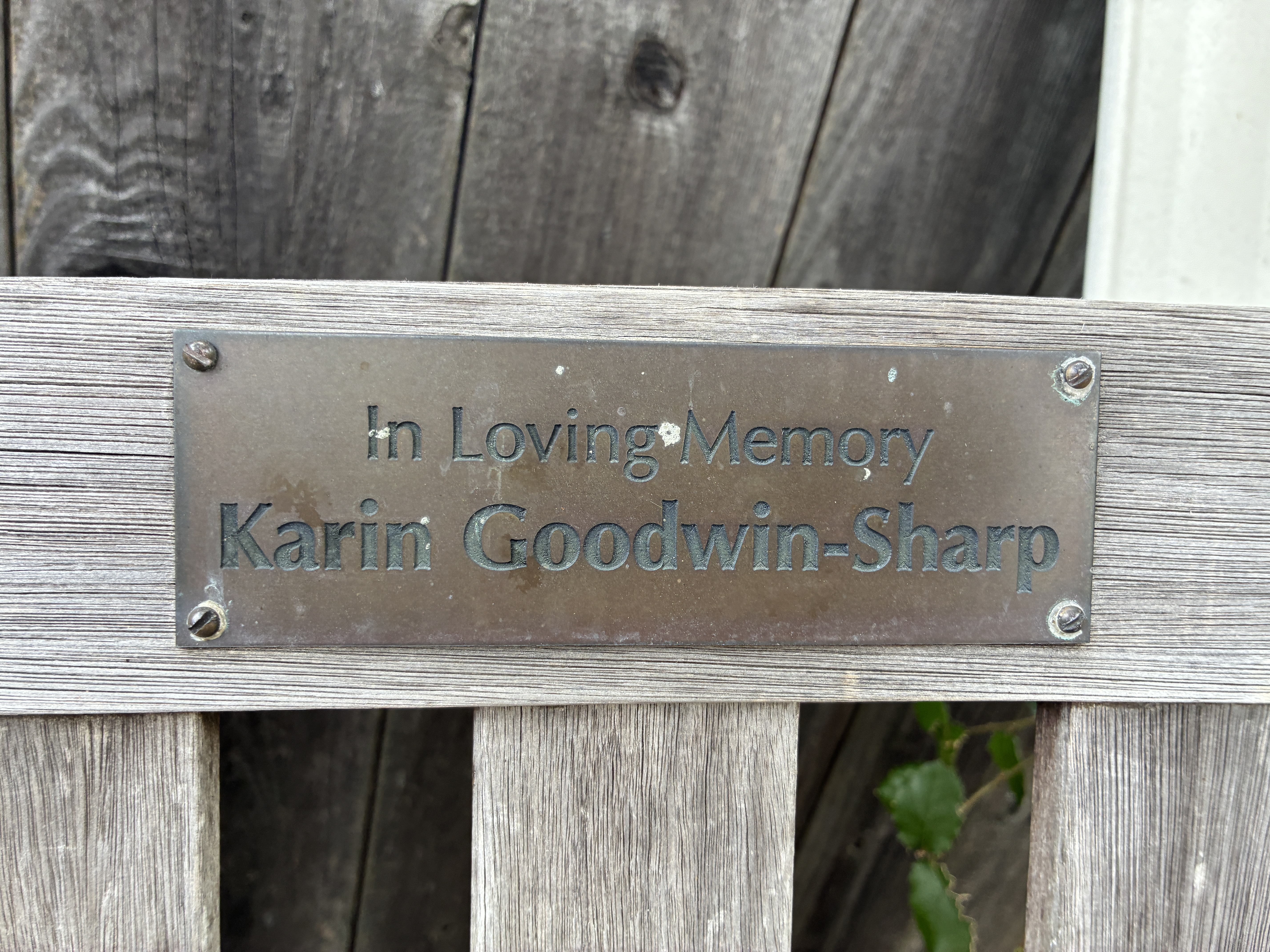 Karin Goodwin-Sharp