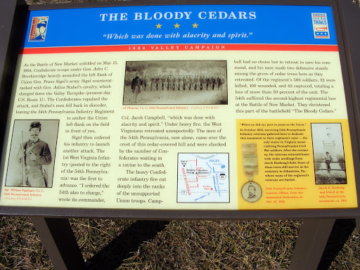 The Bloody Cedars