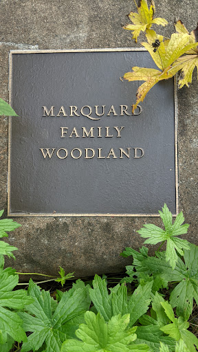 Marquand Family Woodland