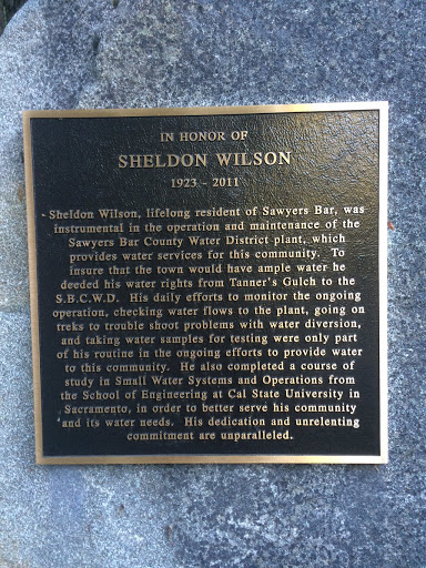 In Honor of Sheldon Wilson