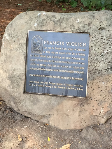 Francis Violich