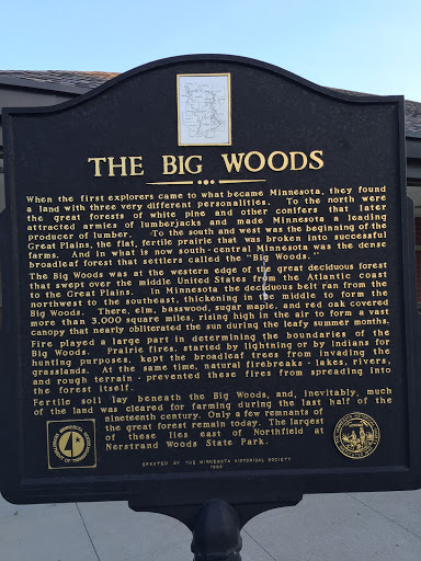 The Big Woods