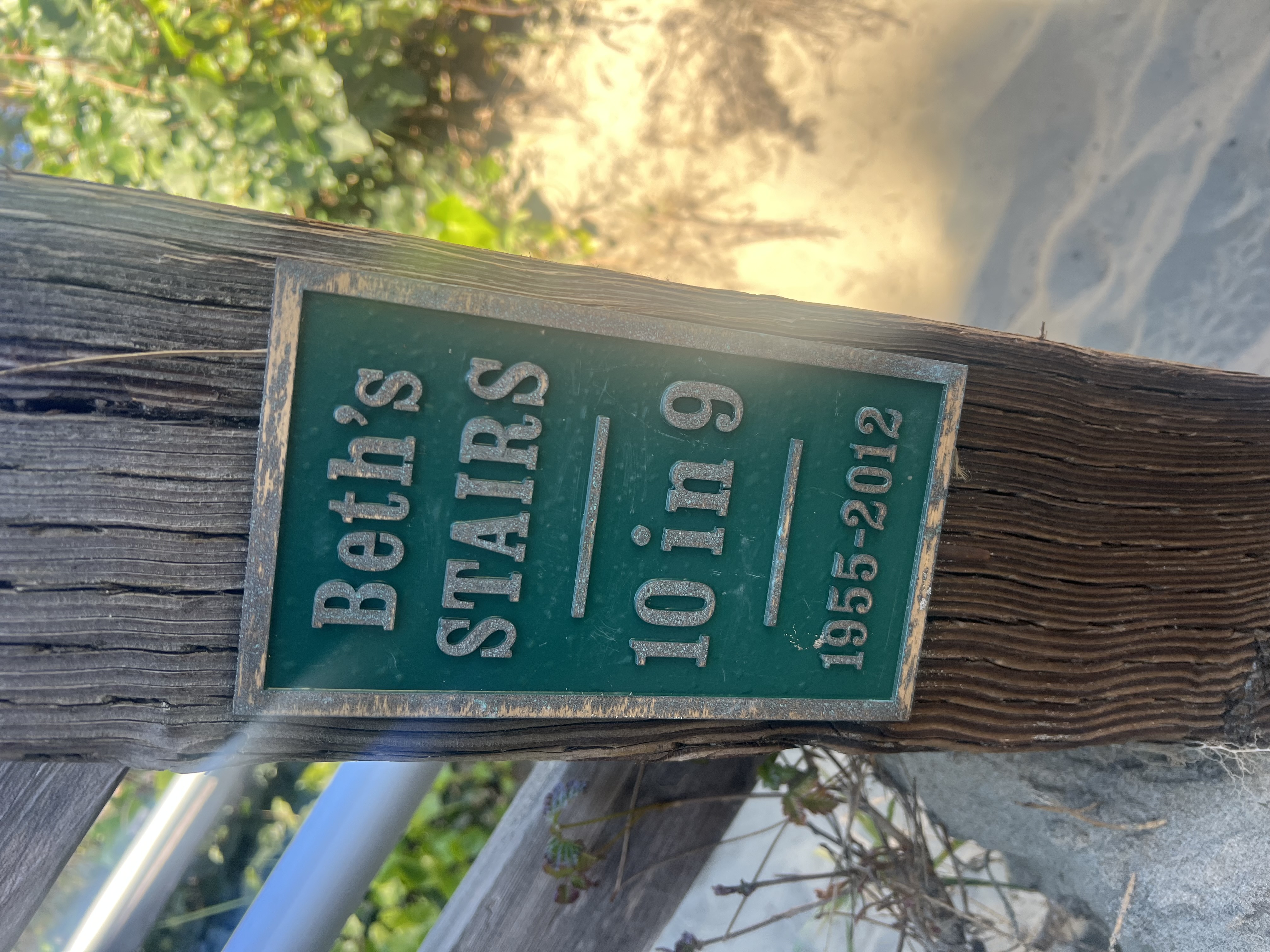 Beth's Stairs 10 in 9 1955-2012