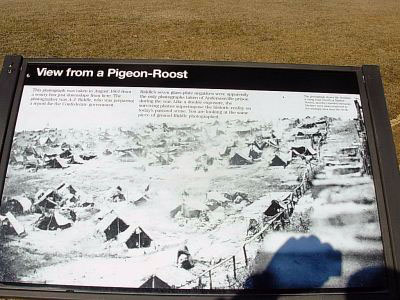 View From A Pigeon-Roost