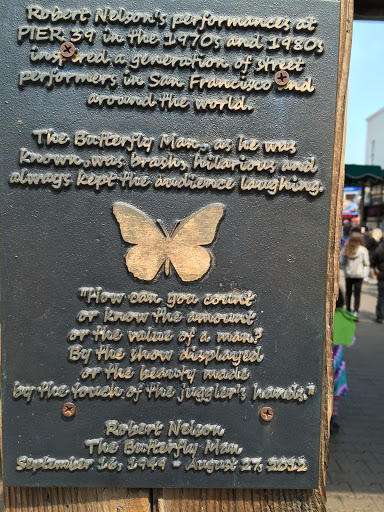 The Butterfly Man