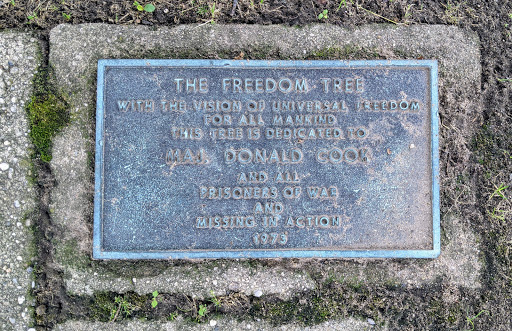 The Freedom Tree - Donald Cook