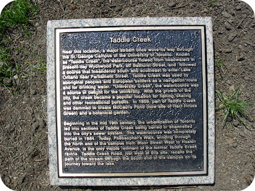 Taddle Creek