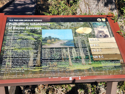 Prehistoric Inhabitants Of Bayou Sauvage