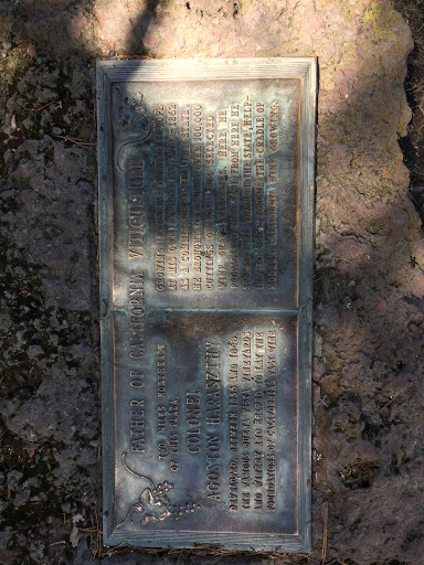 Father of California Viticulture