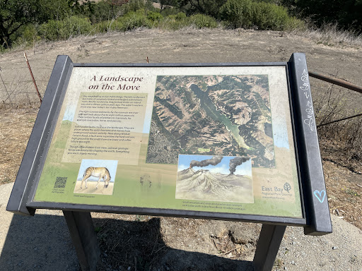 A Landscape on the Move