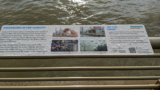 Enhancing River Habitat