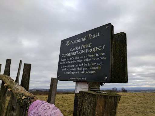 Cross Dyke Conservation Porject