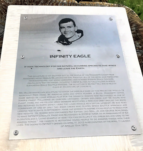 Infinity Eagle