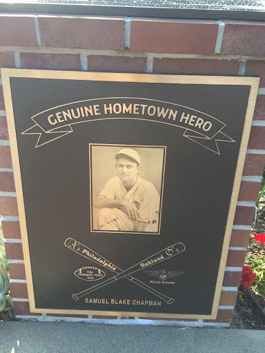 Genuine Hometown Hero -- Samuel Blake Chapman