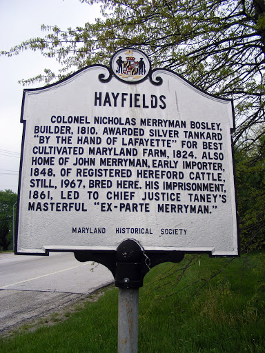 Hayfields
