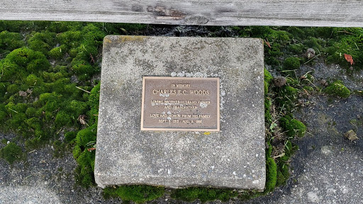 Charles E. C. Woods