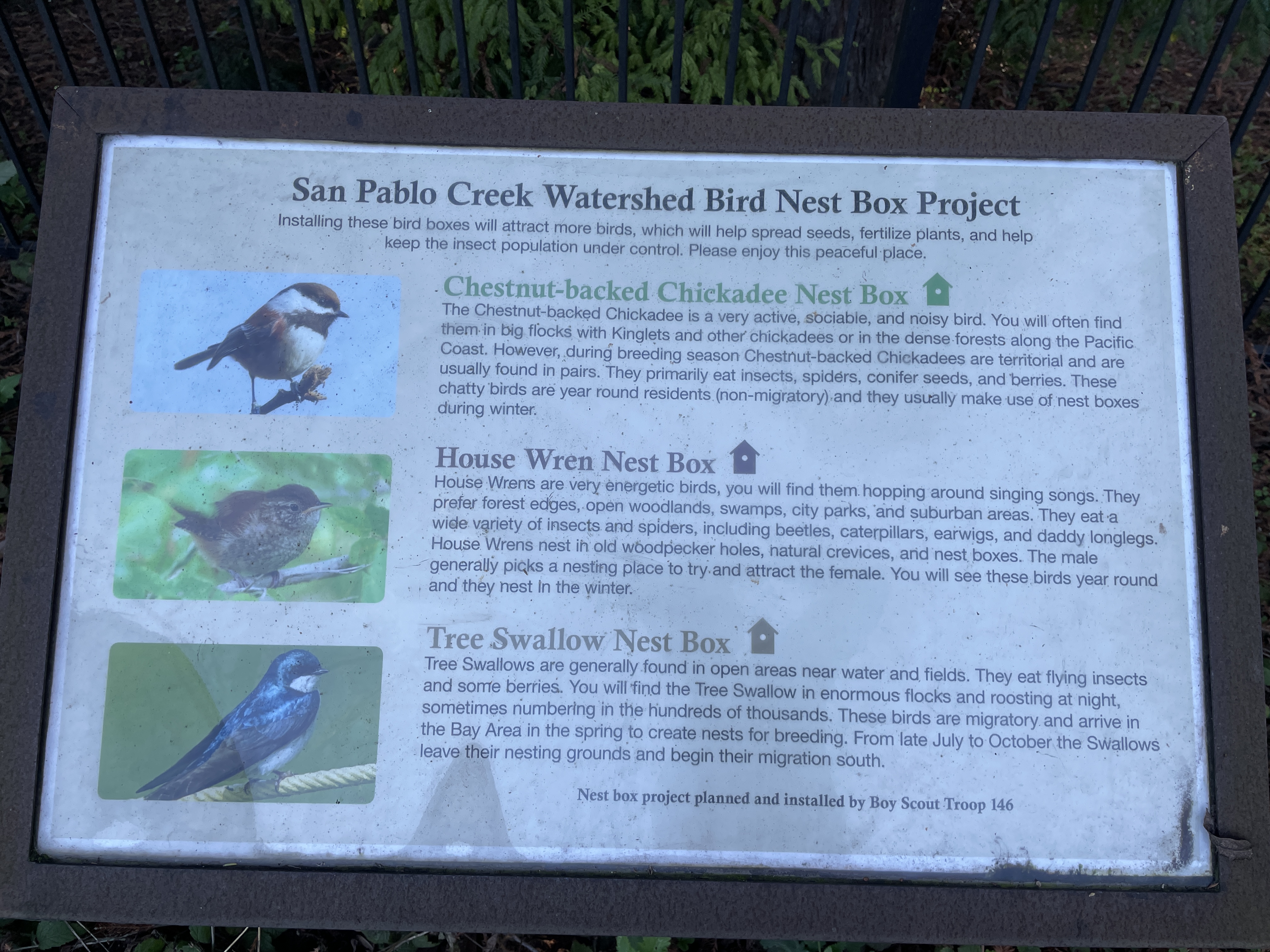 San Pablo Creek Watershed Bird Nest Box Project