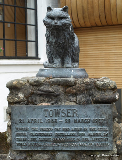 Towser the Famous Cat