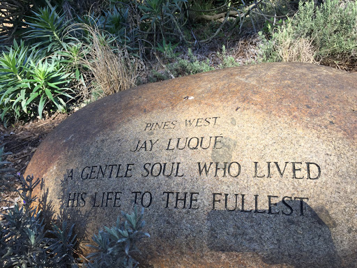 A Gentle Soul Who Lived Life to the Fullest
