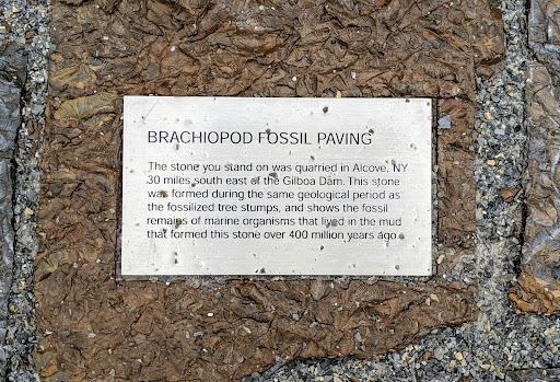 Brachiopod Fossil Paving