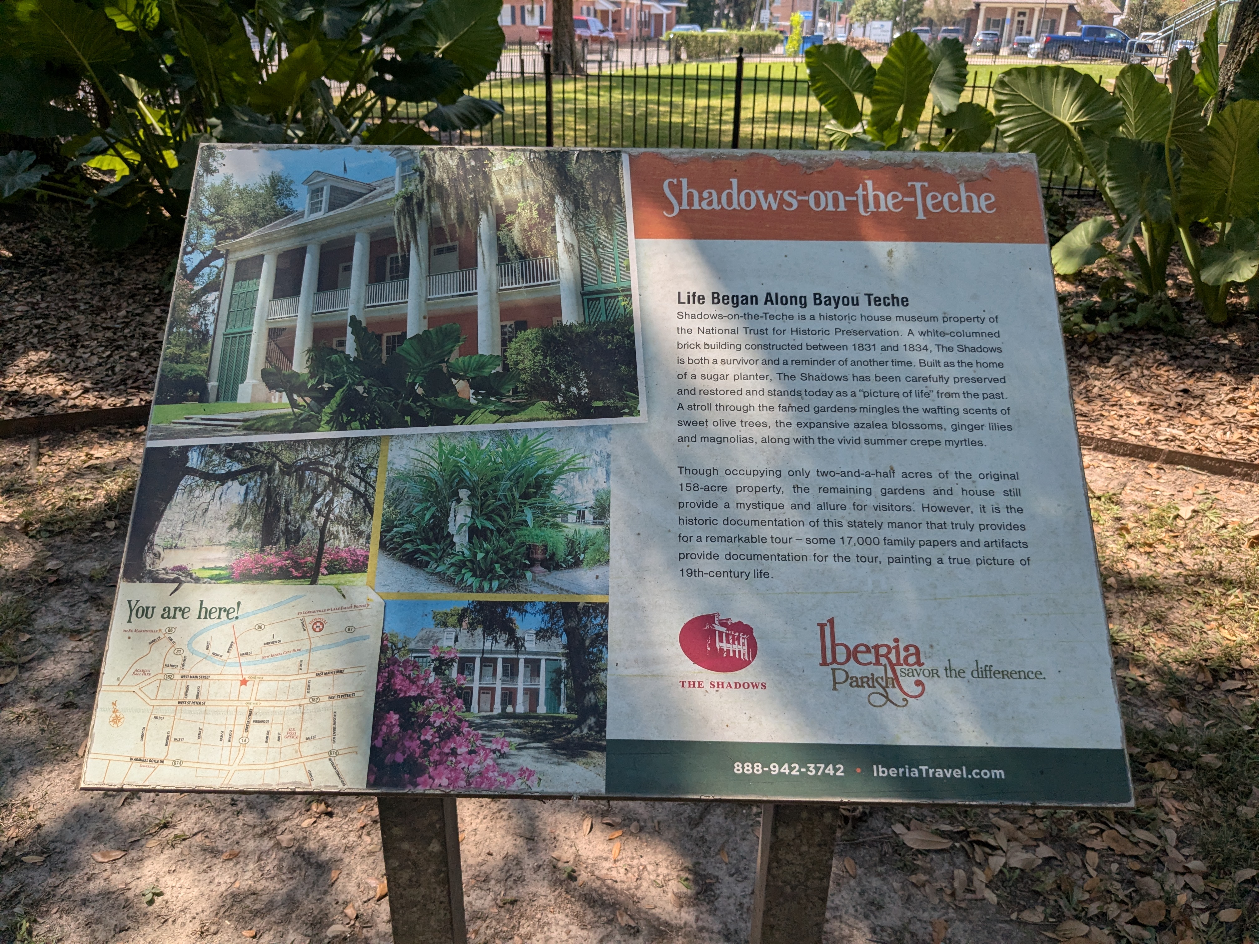 Shadows-on-the-Teche