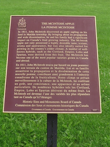 The McIntosh Apple