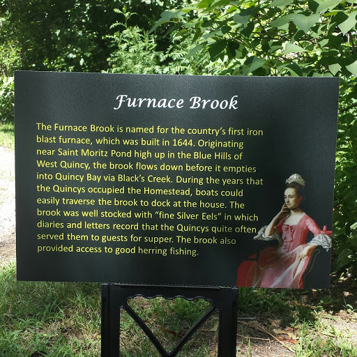 Furnace Brook