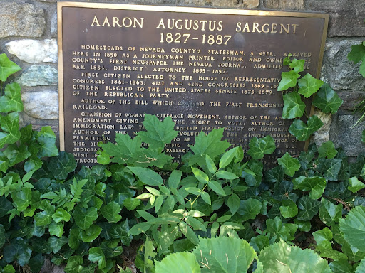 Aaron Augustus Sargent