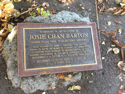 Josie Chan Barton