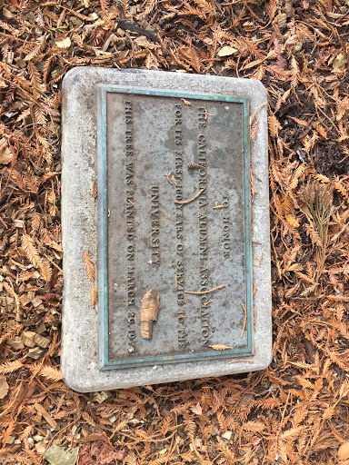 The California Alumni Association Centennial