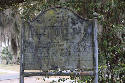 Oglethorpe Oak 1736