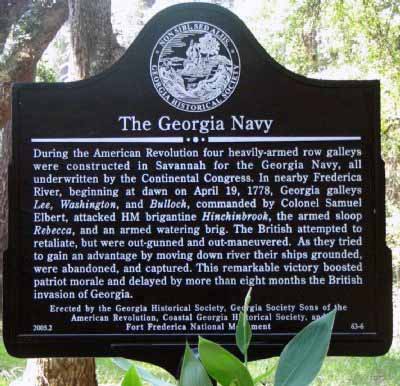 The Georgia Navy