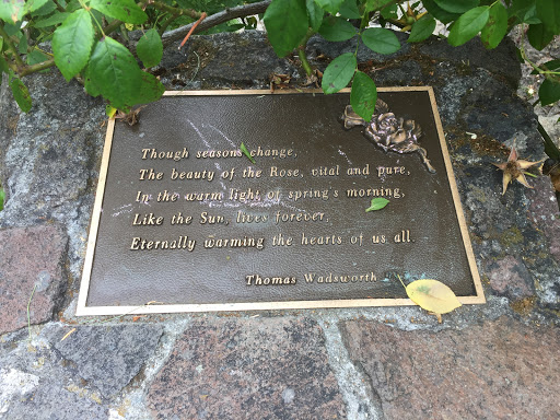 Berkeley Rose Garden