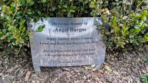Angel Burgos