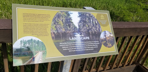 Restoring The Landscape