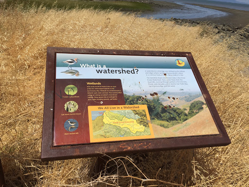 We All Live in a Watershed