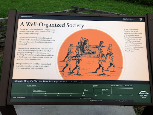 A Well Organized Society