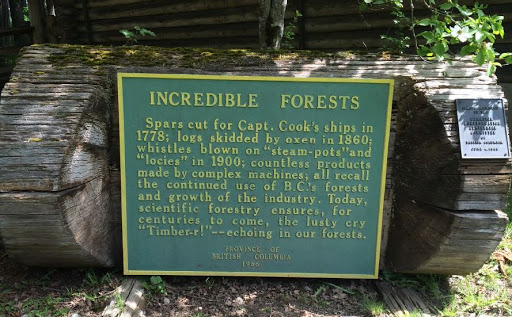 Incredible Forests