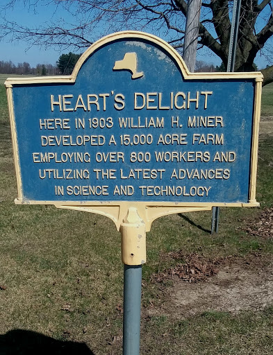 Heart's Delight