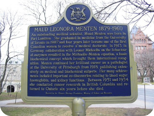 Maud Leonora Menten 1879-1960