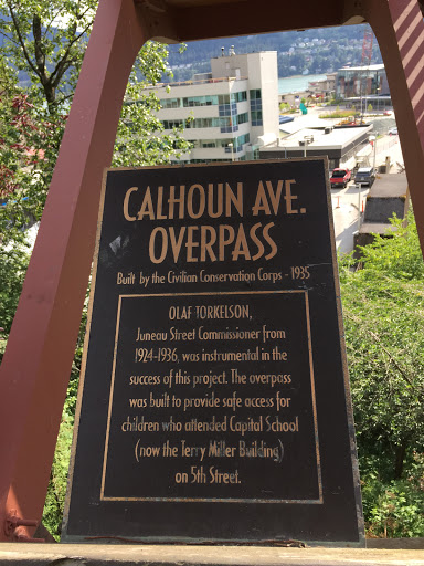 Calhoun Ave Overpass